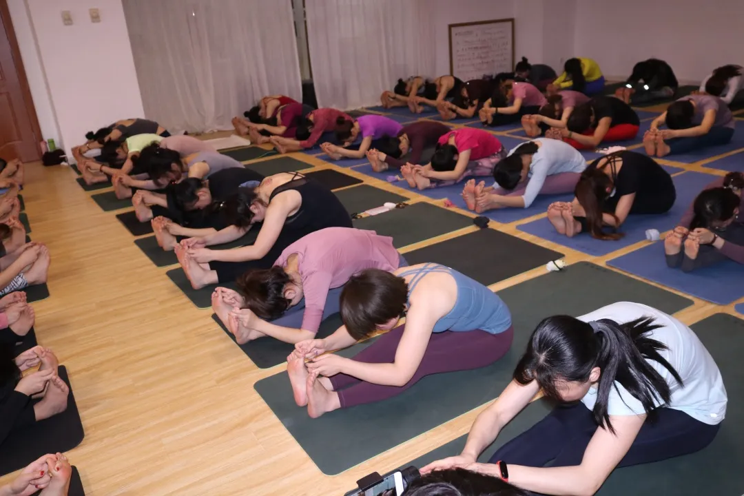 「杨昆瑜伽」基础瑜伽教练培训，专为零基础的你而定制