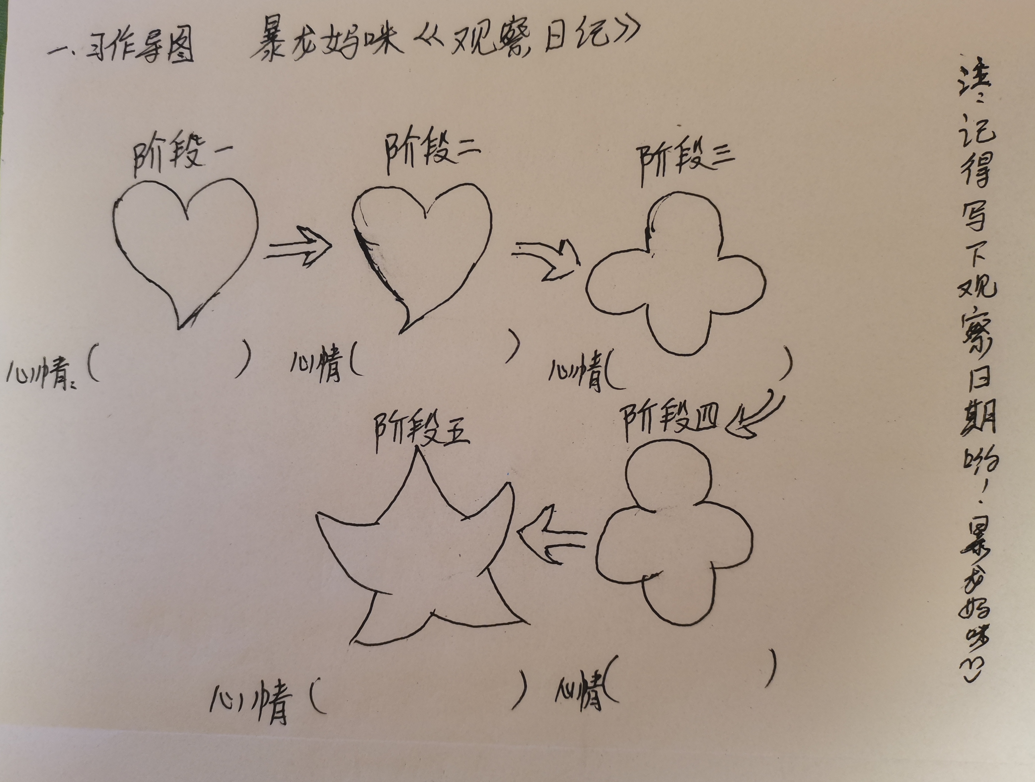 三年级观察作文三年级观察作文300字富贵竹