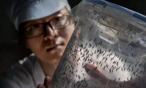 中国的三大黑科技：液态金属有生命、沙漠加水变良田、蚊子在绝育