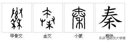 秦、汉、隋、大元、大明、大清等等，这些国号都是怎么来的