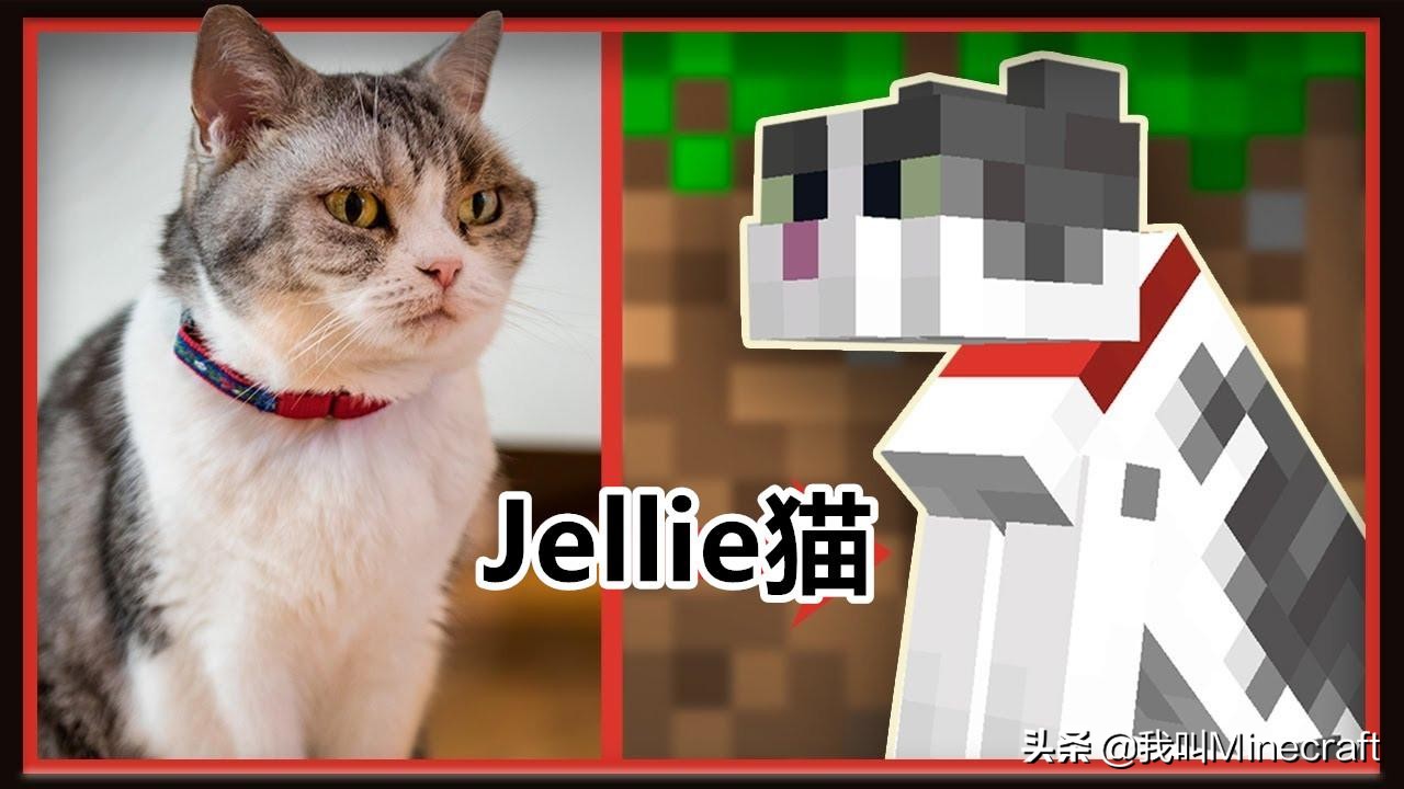 (wo)èʲô(cai)ѱҵè(mao)ʲô-Ʊ֪ʶѧϰ