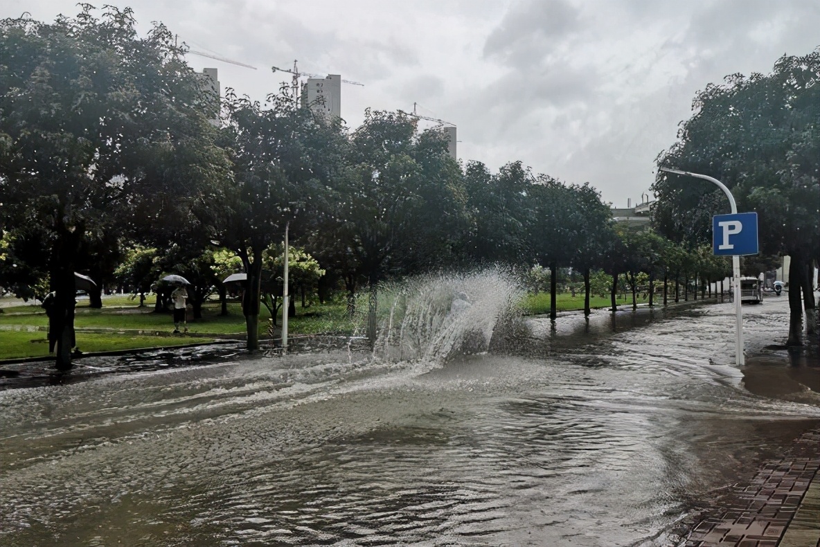 暴雨防拍：汽车隐私保护全攻略