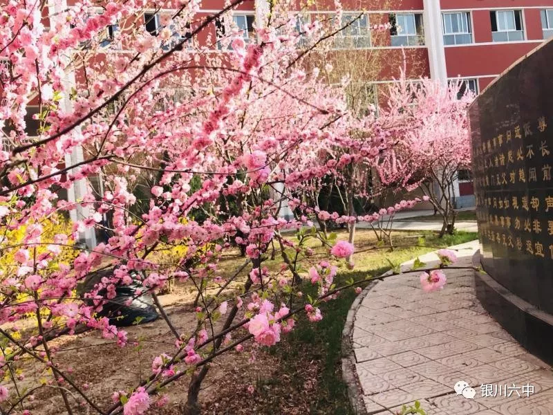 银川市第六中学2020年秋新高一教师团队简介-理化生政史地教师篇