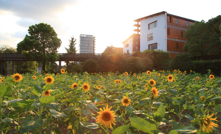 中国美术学院2021年录取分数线近2天即将公布，录取线会提高吗？