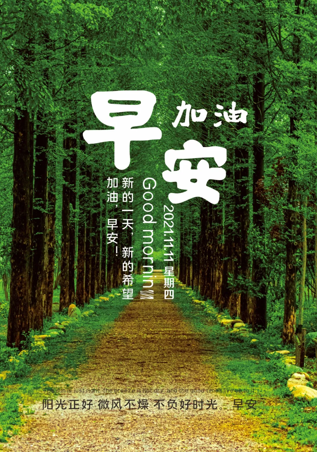 「2021.11.11」早安心语,正能量最新短句图片,双十一光棍节