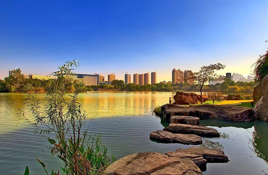 常州青枫公园面积(江苏一"低调"公园,曾吸引600万游客前来,门票0元就