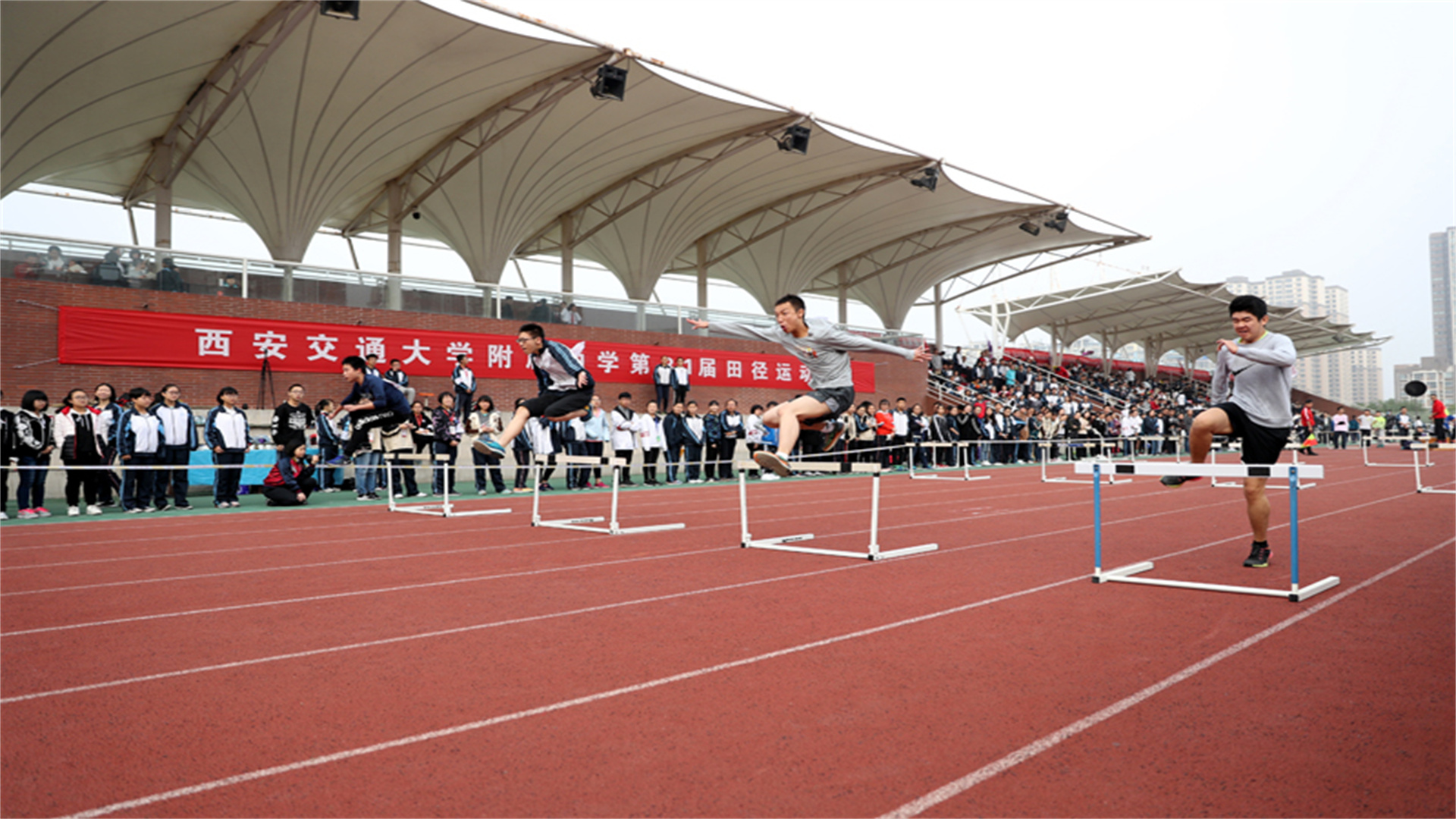 陕西10名学霸已拿到“清北录取通知书”，分别出自哪几所中学