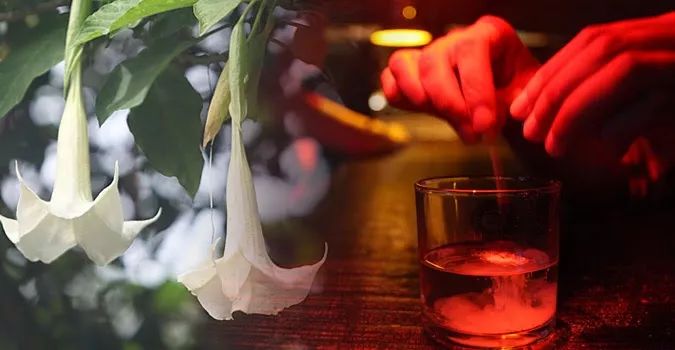 如果街头迷魂药不存在，那蒙汗药为什么传了两千年？