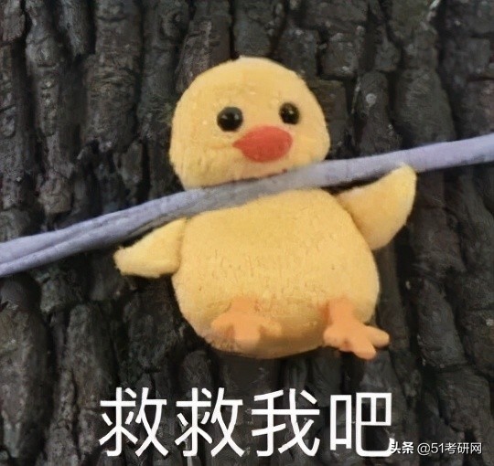 今年考研“卷王”专业！太卷了，复试线400+，高分调剂没机会