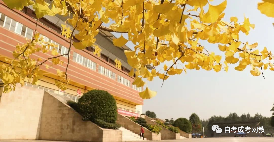 2021年电子科技大学高教自考招生简章