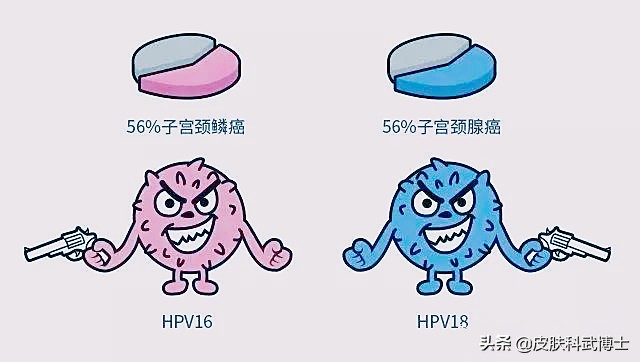 没男朋友，为何会得HPV？HPV传播途径可不止性！发病率逐渐年轻化
