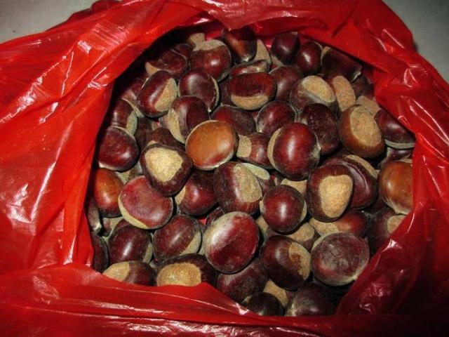 才知道，原来这才是水煮板栗的正确做法！比糖炒栗子还香，收藏了