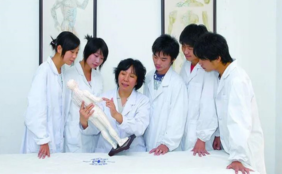 文科生也可以学医？4个适合文科生的医学专业，难度不大还好就业