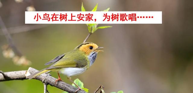 语文二年级下24课《当世界年纪还小的时候》图文解读+知识点+测试