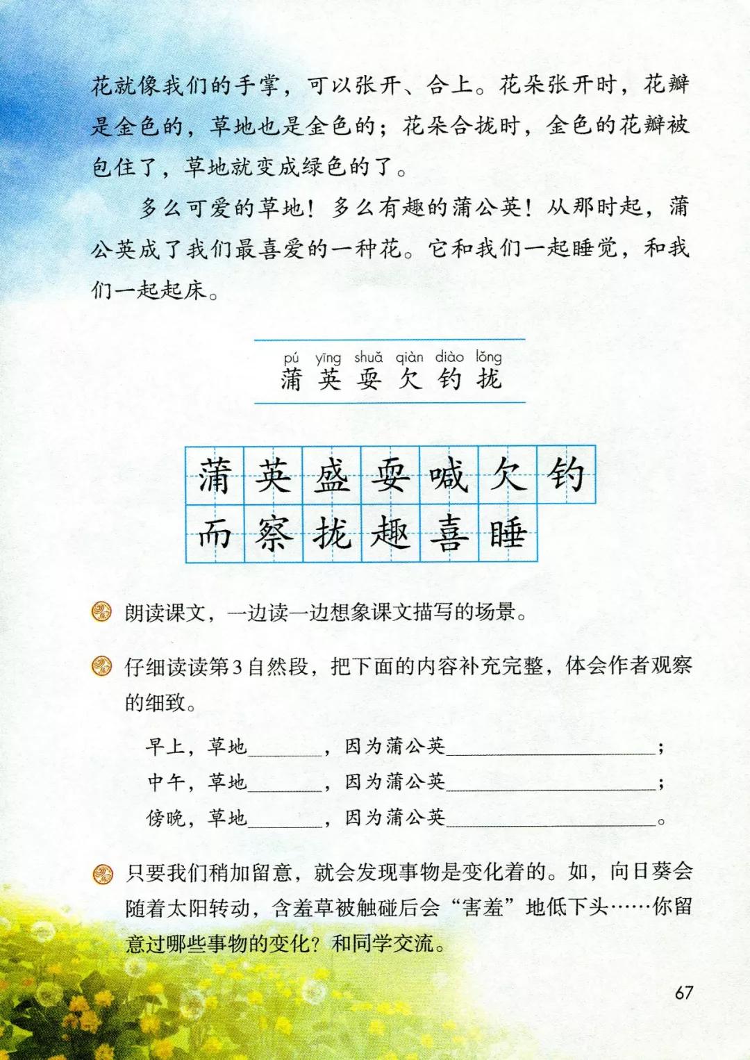 蒲公英课文图片