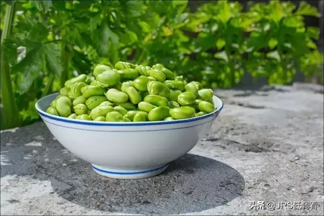 立夏:梅子金黄  杏子肥，麦花雪白 菜花稀