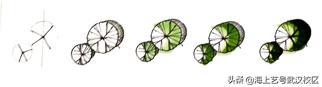 干货分享|植物的平面图画法