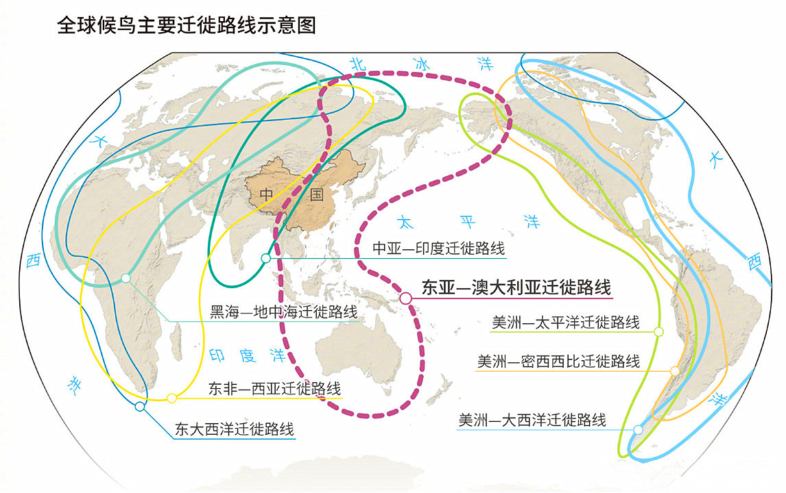 家里燕子做窝有何预兆（家里燕子做窝有何预兆吗）-第5张图片-巴山号