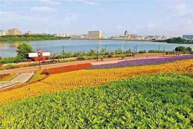 深圳十大免费特色的湖泊公园