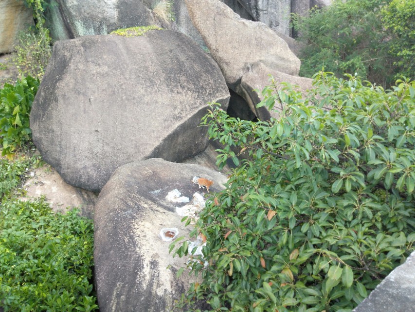 珠海的美毋庸置疑！吉大的由来，你信哪一个