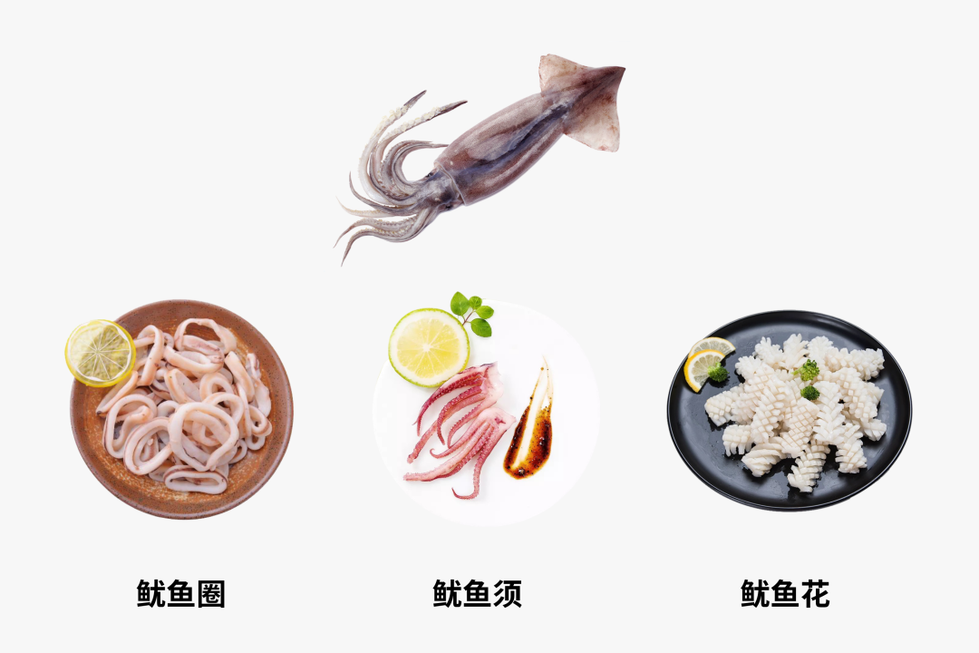 章鱼和鱿鱼（章鱼和鱿鱼的价格区别）-第3张图片