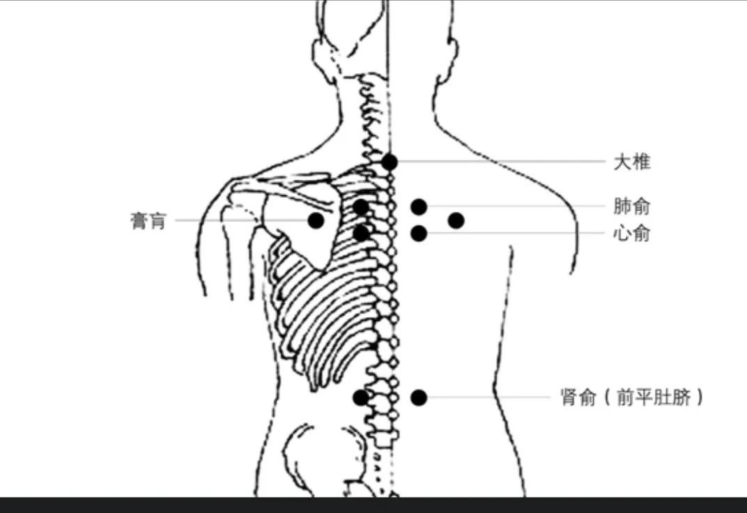 《红楼梦》里的这些必考字词你都认识吗？家长们必须给孩子保存下
