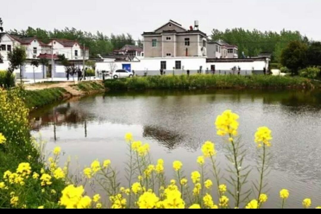 ̫ĸʡdeУ̫ǺʡshengĸУ-Ʒ