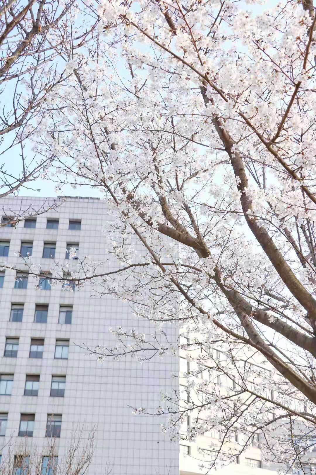 我的大学—在兵荒马乱中学着轻装简行