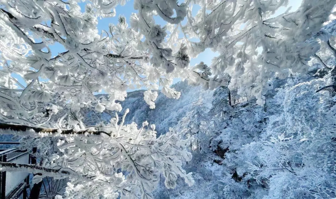 12月杭州哪里可以滑雪(千米高山，十年品牌，临安大明山万松岭滑雪场昨天开滑)