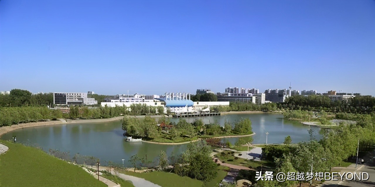 周口师范学院2020年河南省本科专业录取分数统计（含艺术体育）