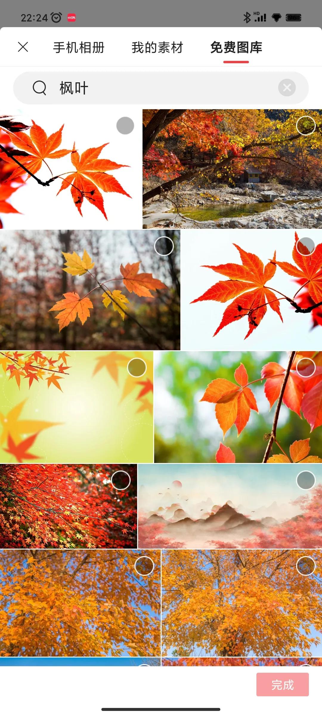 没有图片素材怎么办？教你一招，找到大量免费正版素材