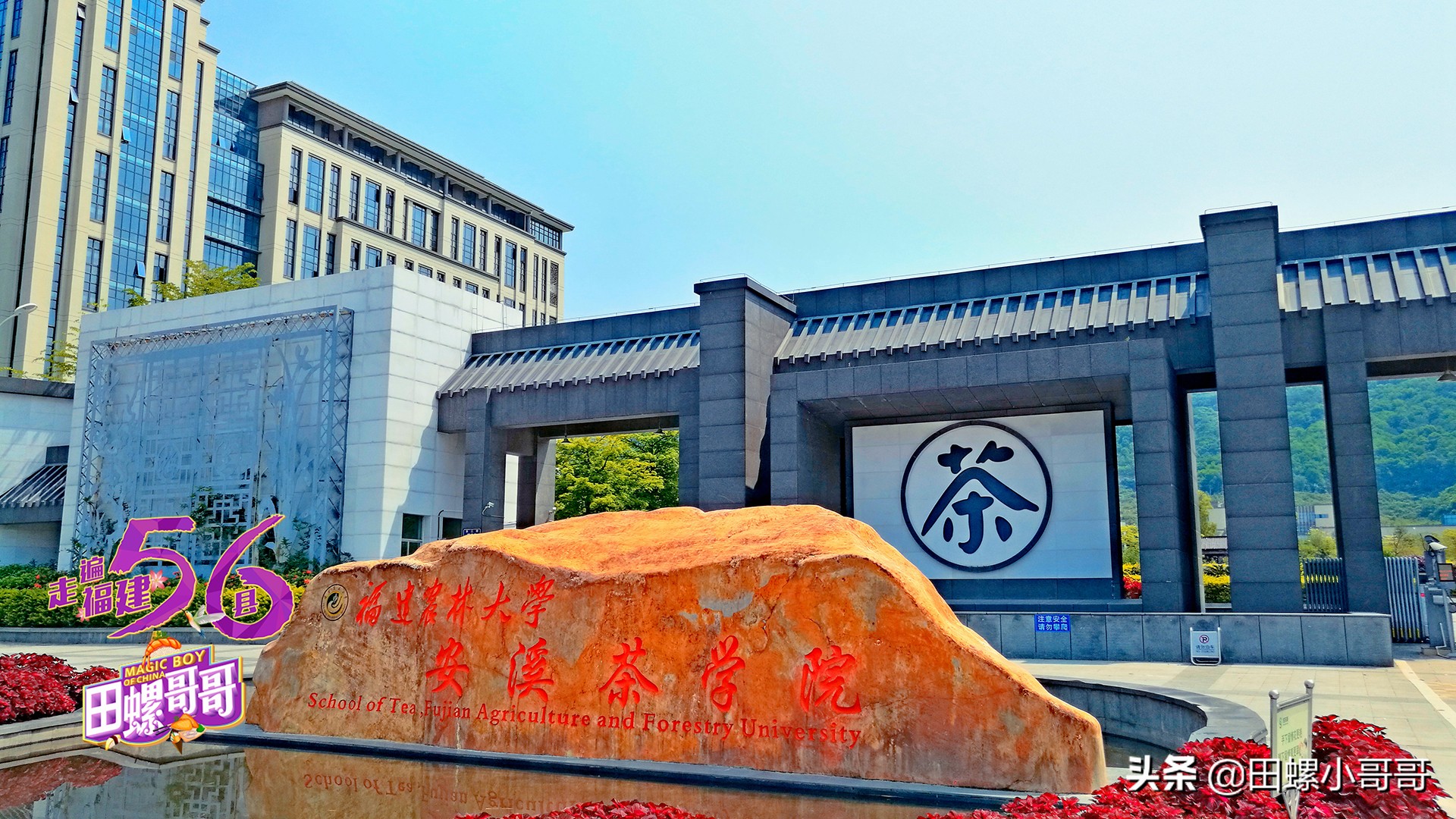中国第一所，也是唯一一所本科茶学院，深藏于大山里，清新似茶！