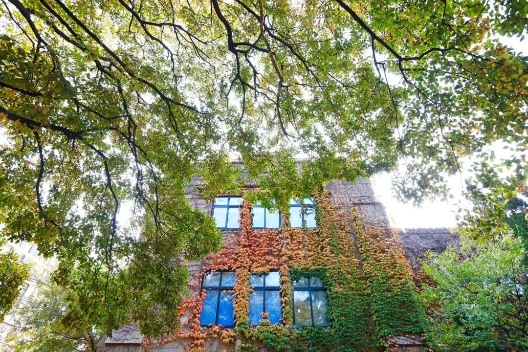 权威发布|中国海洋大学2021年强基计划招生简章