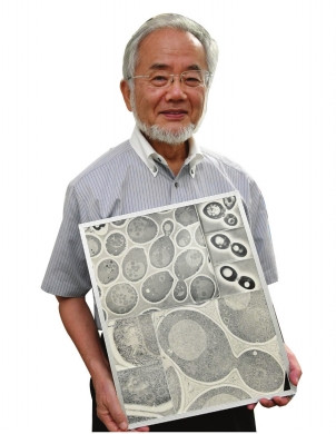 5个月前，华人科学家发明DNA显微镜，诺奖能否为他打开第7扇门？