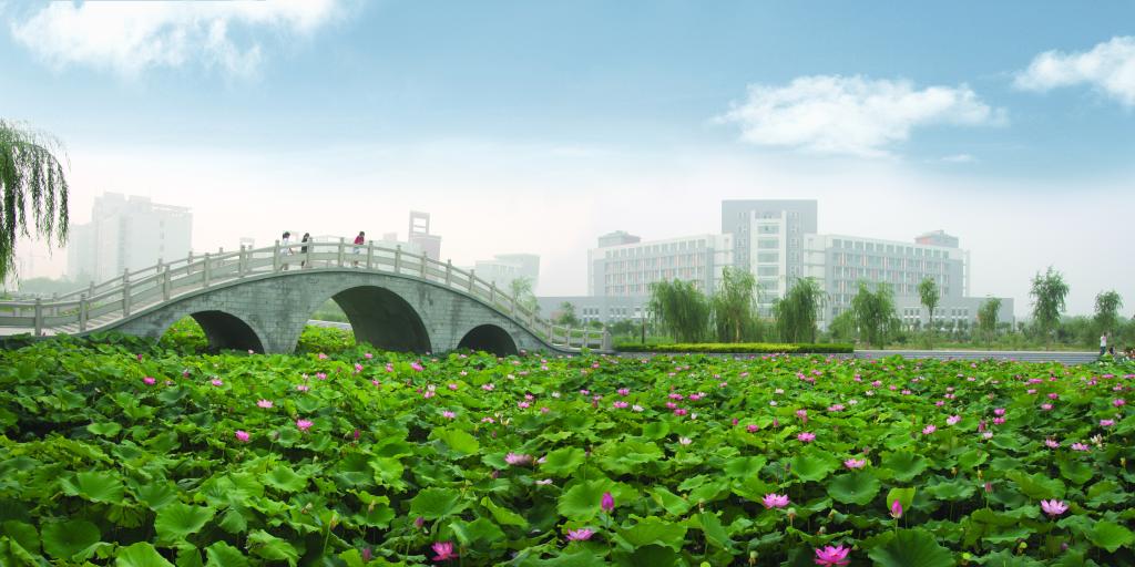 以大学命名的两所专科院校——开封大学、焦作大学2020招生计划