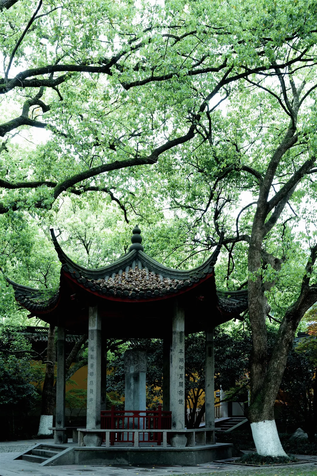 杭州终极拜佛攻略｜走这条路，一天解锁灵隐法喜7大宝藏寺庙