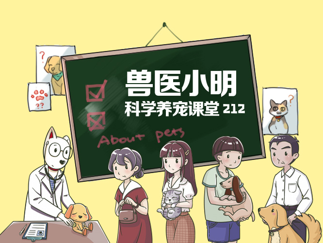 狗在黑夜会眼冒金光，俗称“钛合金眼”，到底是什么原因造成的