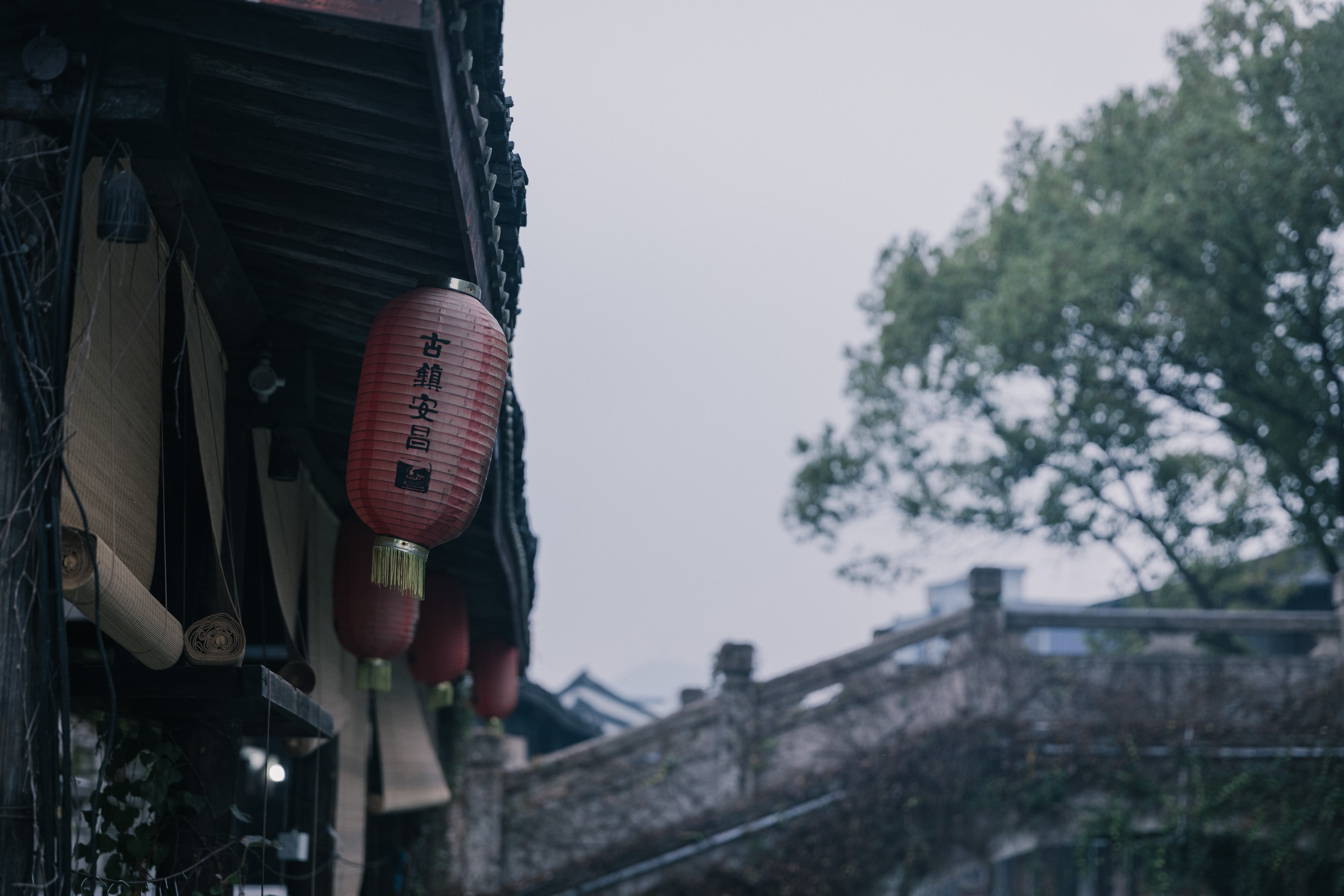 来绍兴不一定要去鲁迅故居，这6个小众景点更值得打卡