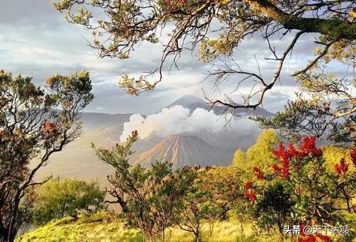 苏先生读史｜朱熹：宋朝理学家、哲学家、儒学集大成者，尊称朱子