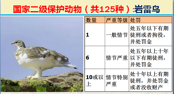 二级保护动物（国家最新125类二级野生保护名录）