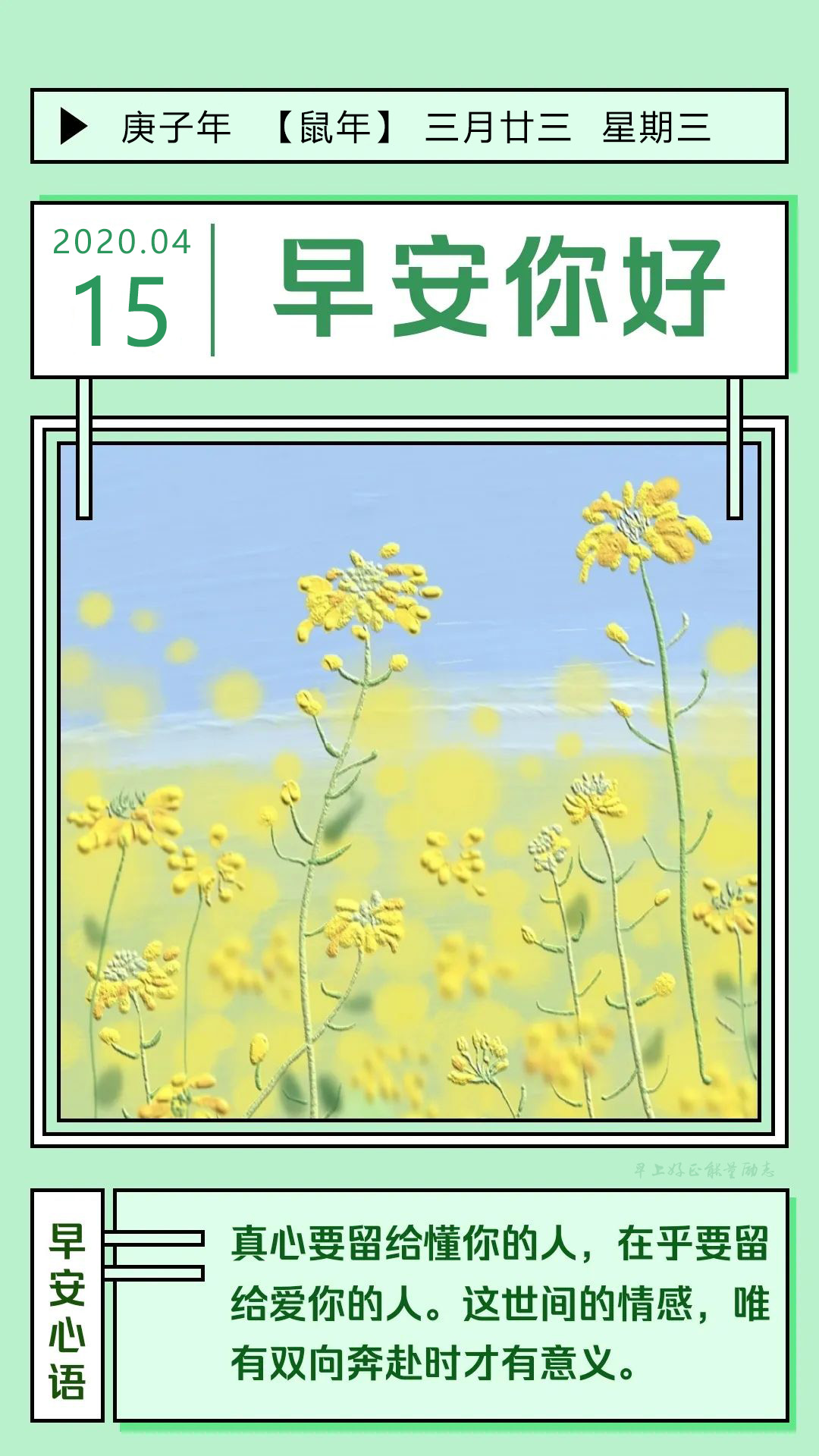 周三正能量早安心语图片日签带字：感恩过去，珍惜当下，无惧未来