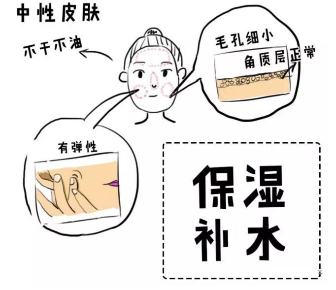 你是什么肤质的？辨别方法有哪些？