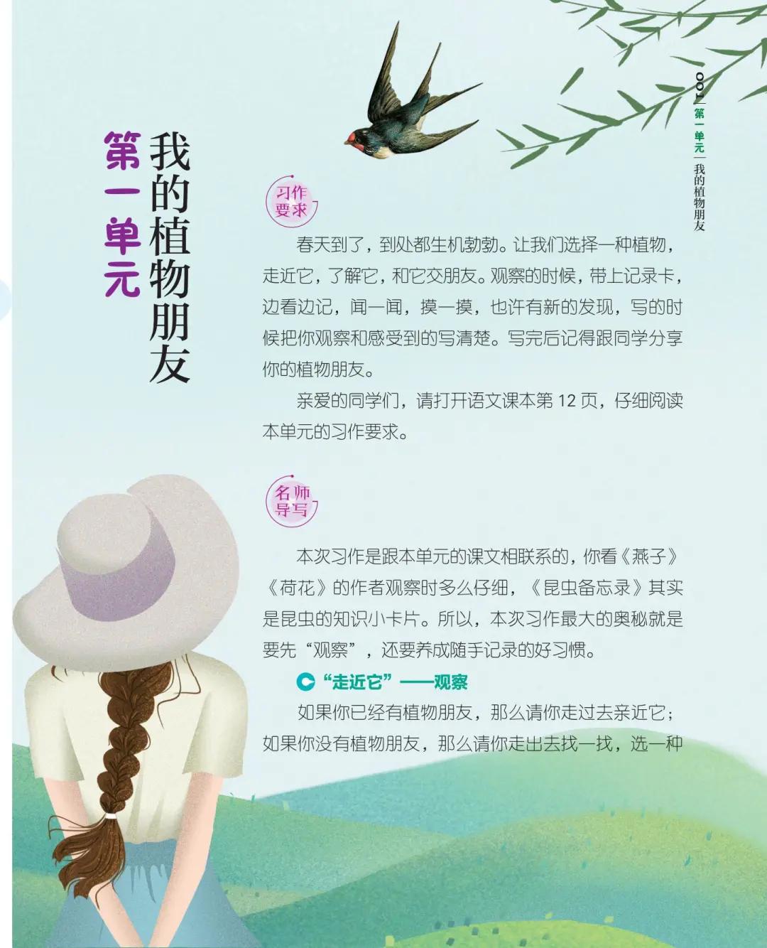 三年级下册一单元 |植物朋友怎么写？观察记录三步法+精彩范文