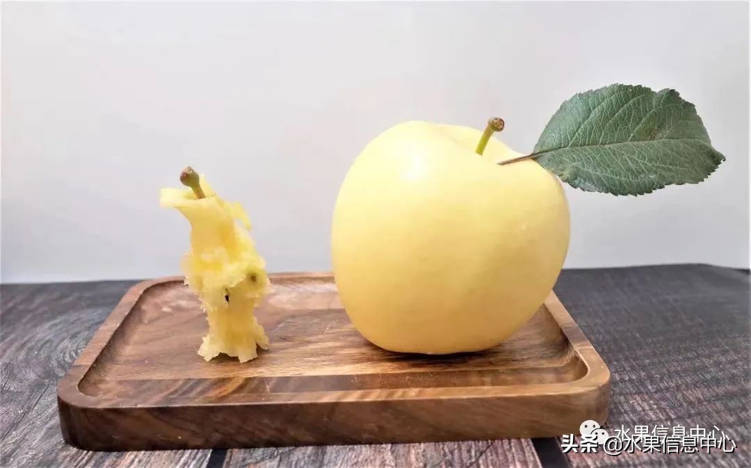 蘋果的產地,蘋果的產地主要在哪里
