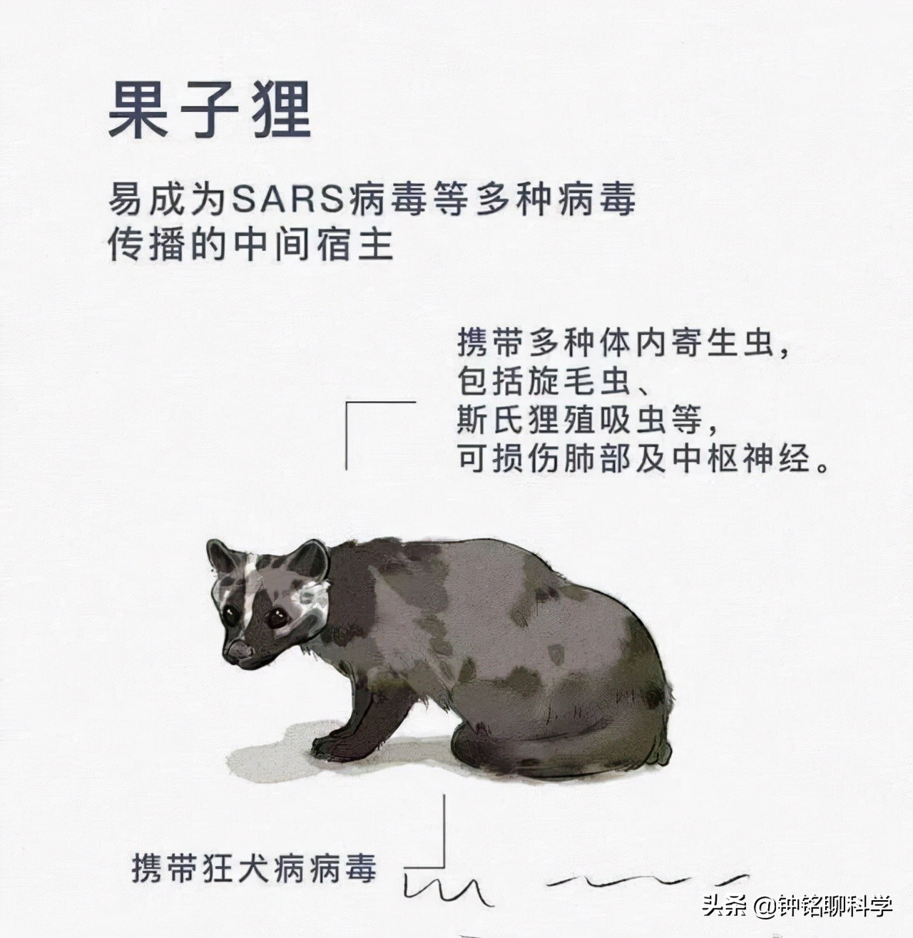 野豬怎么打,