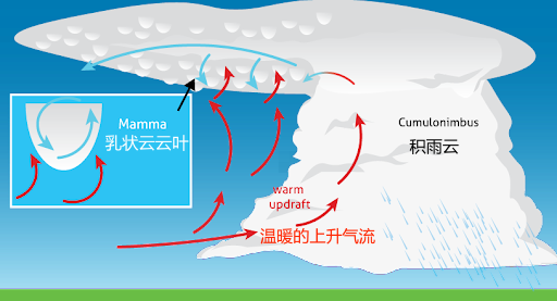 河北出现罕见的“乳状云”，是怎样形成的？云层是否能预示灾难？