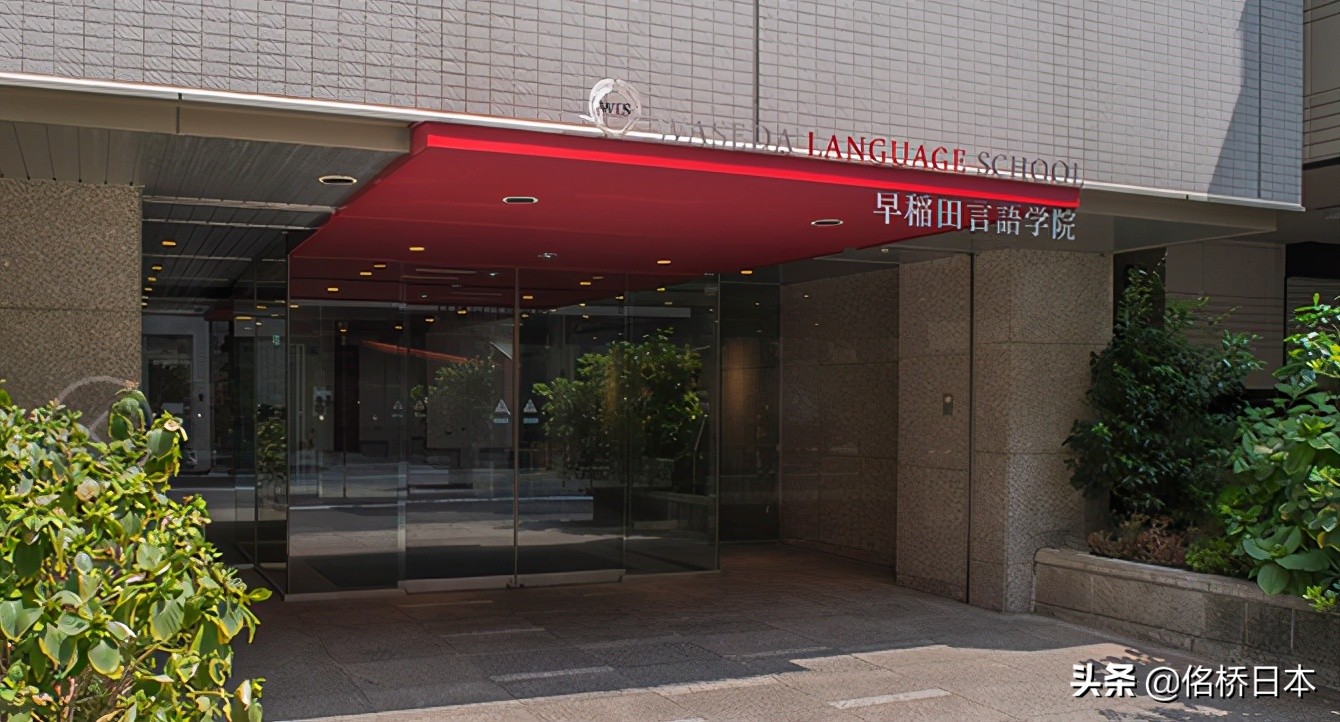 哪些语言学校中国学生占比较高？（下）