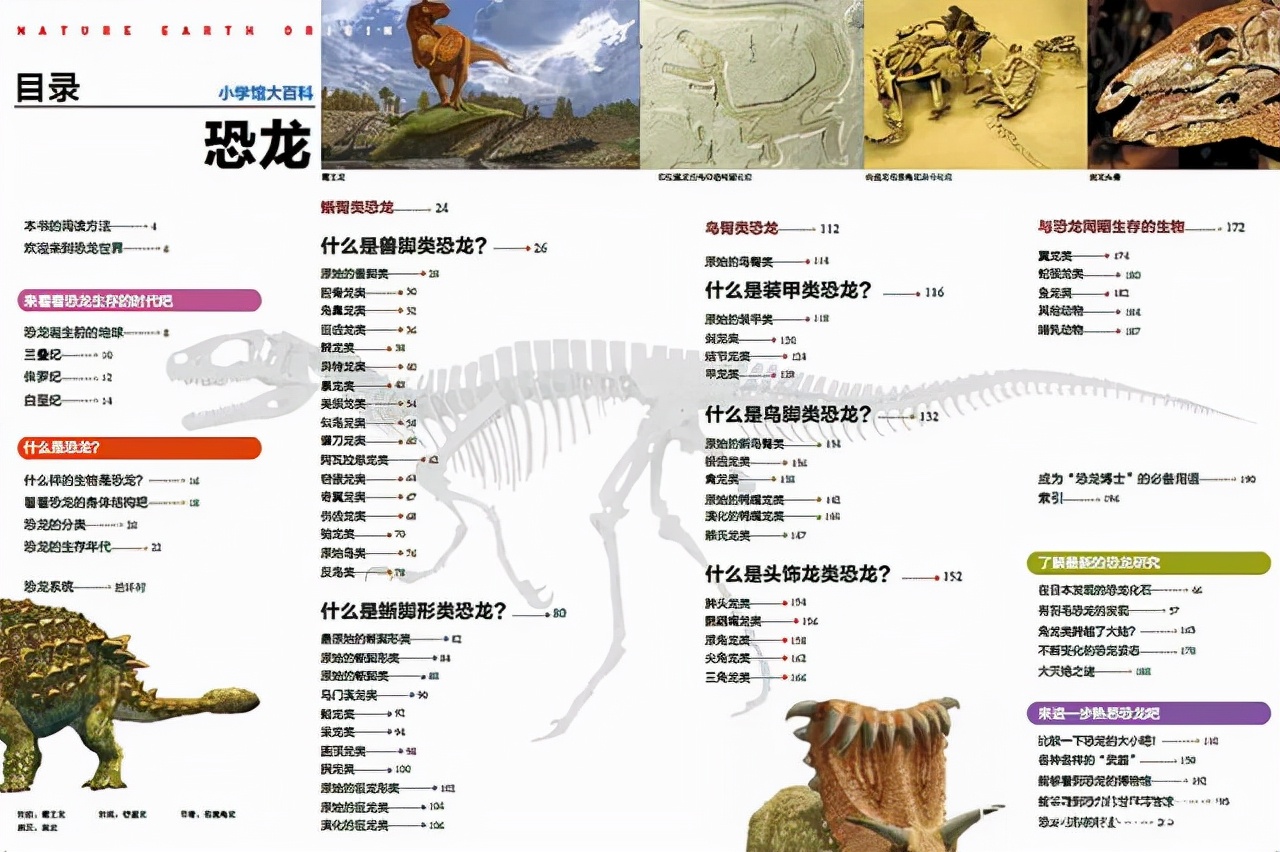 400种恐龙，700多幅场景图和化石照片，带领孩子系统全面了解恐龙