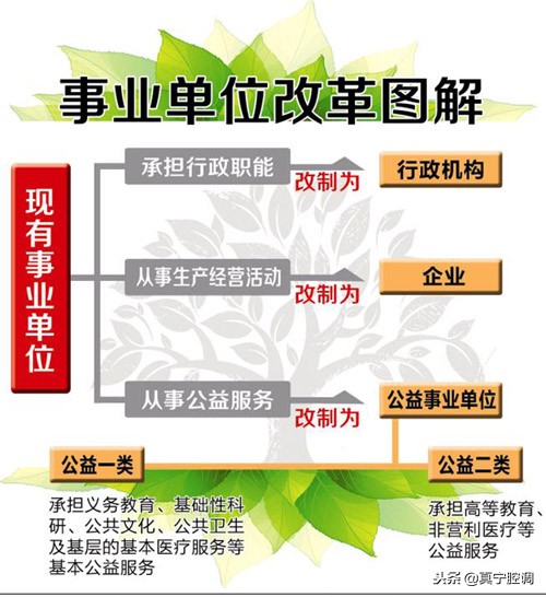 公益一类和公益二类的区别（公益一类事业单位是什么意思）-第1张图片-科灵网