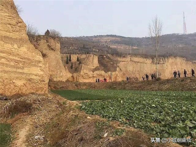 农民建房挖到31件国宝,上交获200元奖励惹非议,奖金提高1000倍